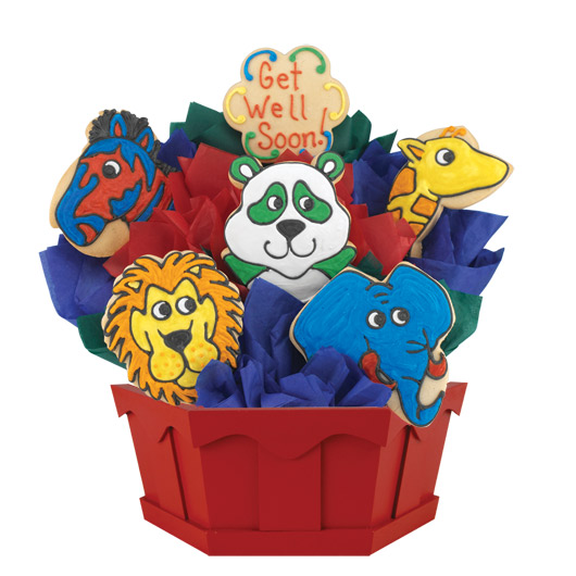 A257 - Get Well Zoo Cookie Bouquet